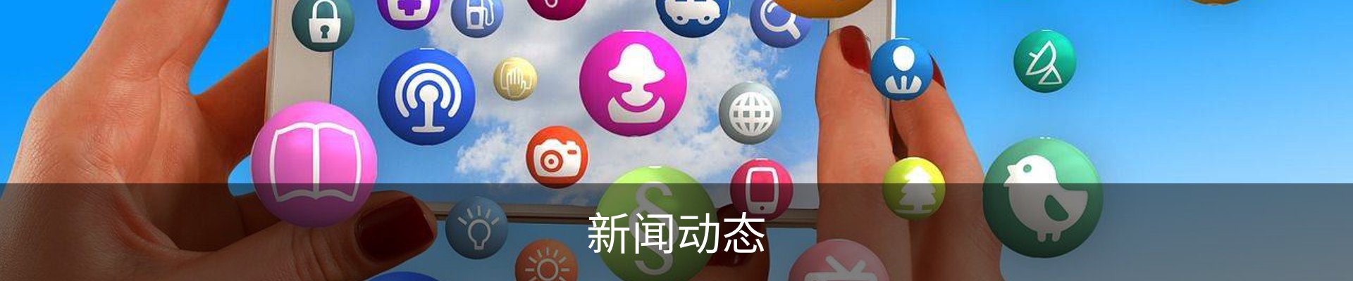 新闻动态